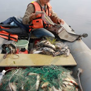 Учет рыбных запасов. Фото Комарова А.С.
