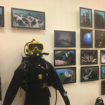 Выставка «Подводный калейдоскоп Александра Губина»