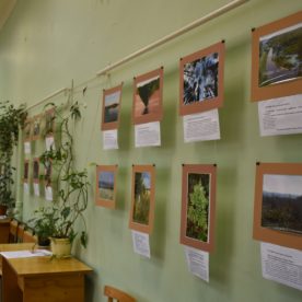 Фотовыставка “Удивительная природа Вологодской области”, организованная ВоГУ совместно с ВРО РГО, открыта до конца апреля.