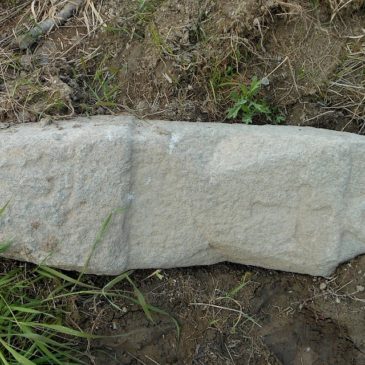 Дохристианского каменного идола нашли в Харовском районе.