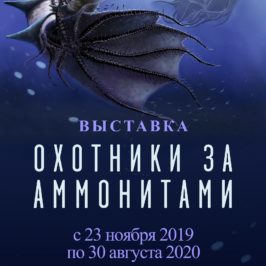 Выставка «Охотники за аммонитами» откроется в Вологодском музее-заповеднике 23 ноября.