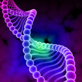 Дом научной коллаборации приглашает школьников на web-квест «Расшифруй ДНК- 2020».