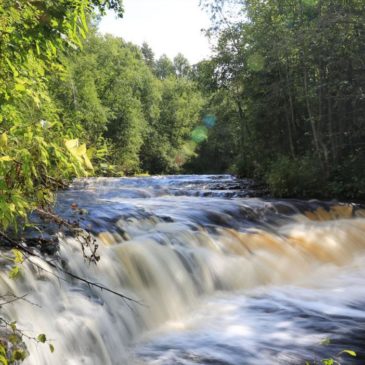 В рамках гранта РГО в Вытегорском районе проводят  благоустройство экологической тропы к водопаду Падун.