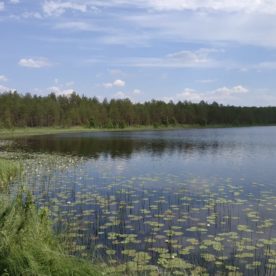 Озера таежной зоны исследуют в течение пяти лет на грантовые средства ВРО РГО