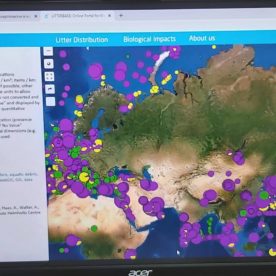 Интерактивную карту распространения микропластика в водных объектах создадут в России