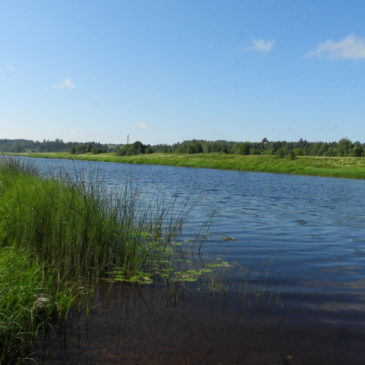 Сбор материала в среднем течении реки Кубены провели в рамках гранта РГО