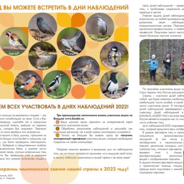 Международные Дни наблюдений птиц проходят с 24 сентября – 2 октября 2022 года
