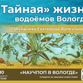 Лекция «Тайная» жизнь водоёмов Вологды» прошла в рамках встреч научпоп артели