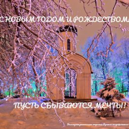 Вологодское отделение РГО поздравляет всех с Новым годом!