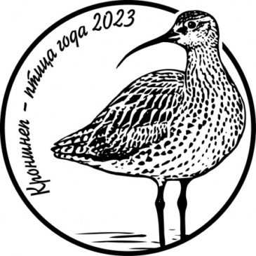 Союзу охраны птиц России исполнилось 30 лет, а Вологодскому отделению Союза охраны птиц России исполнится 25 лет