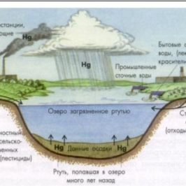 Международный симпозиум “Ртуть в биосфере” в Череповце! Приглашаются участники