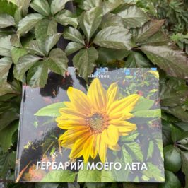 Презентации книги «Гербарий моего лета» состоится 28 октября в Вологодском госуниверситете