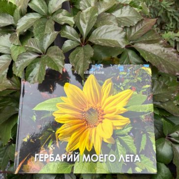 Презентации книги «Гербарий моего лета» состоится 28 октября в Вологодском госуниверситете